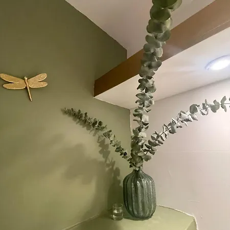 Soleil De Sète, Maison Coquette En Cœur De Sète